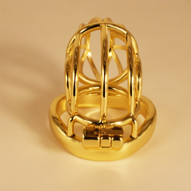 Male Chasity Cock Cage with Chastity Device Sex To