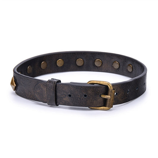 Bronze Metal Square Rivets Brown Leather Collar Ne