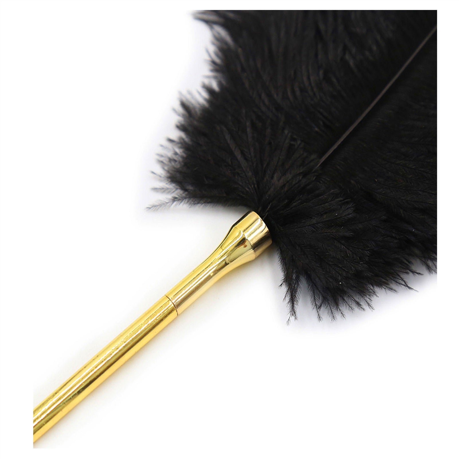 Ostrich Feathers Flirt Feather Bound Props Tickle 