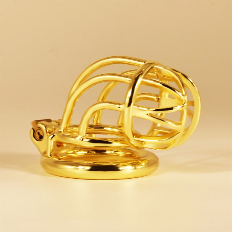 Male Chasity Cock Cage with Chastity Device Sex To