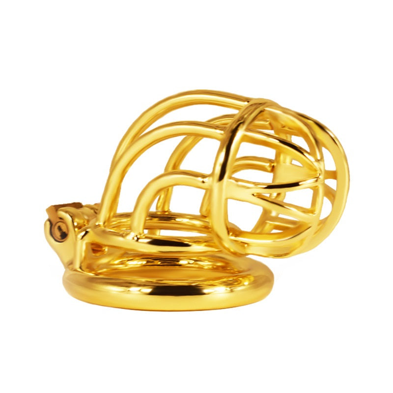 Male Chasity Cock Cage with Chastity Device Sex To