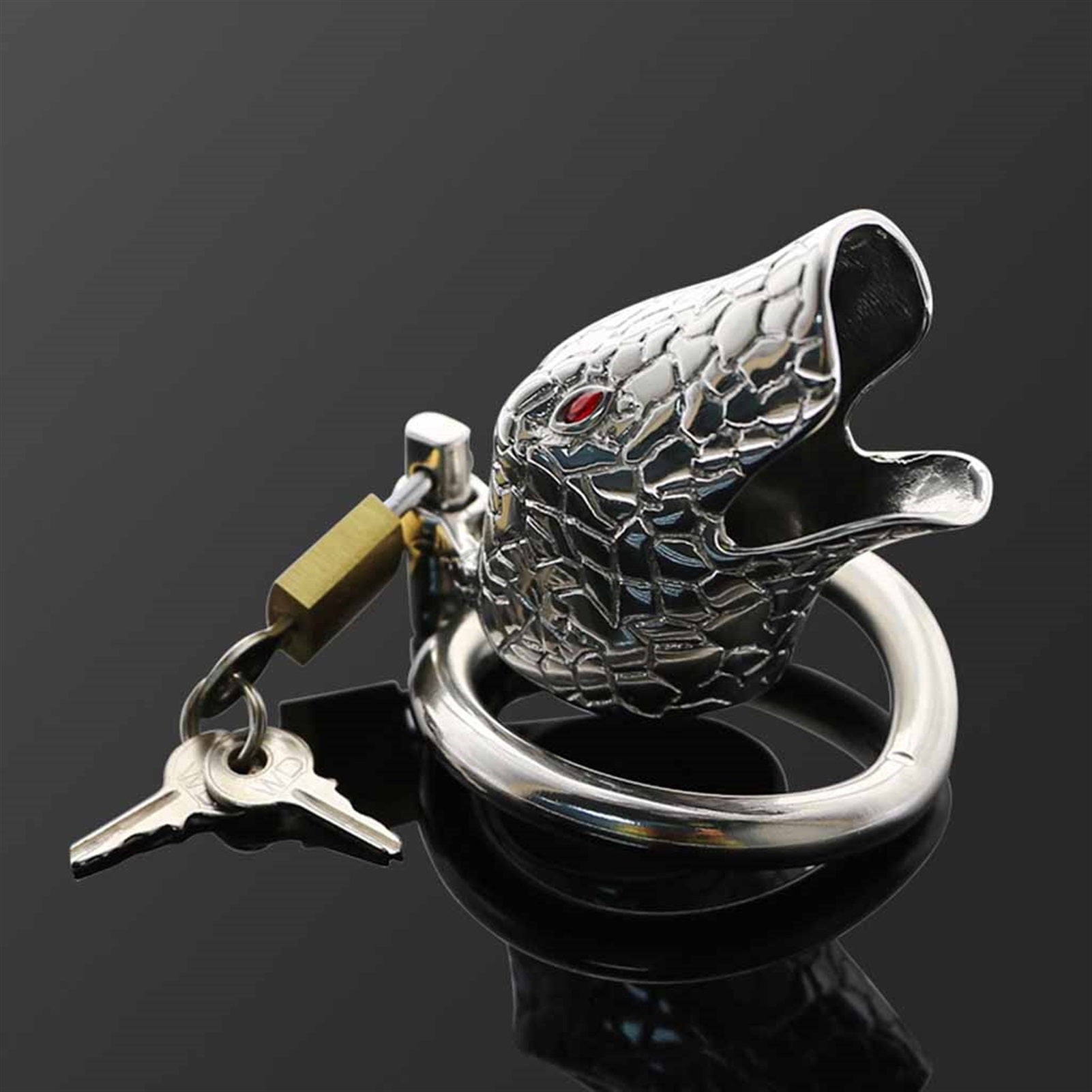 Chastity Lock Large Clean Metal Device for Men Cha